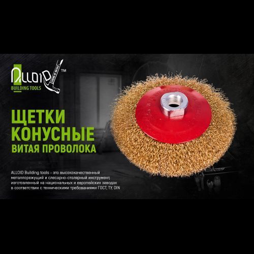 Alloid. Щітка конусна "витий дріт" 100 мм, М14х2 (WB-30100) WB-30100 фото