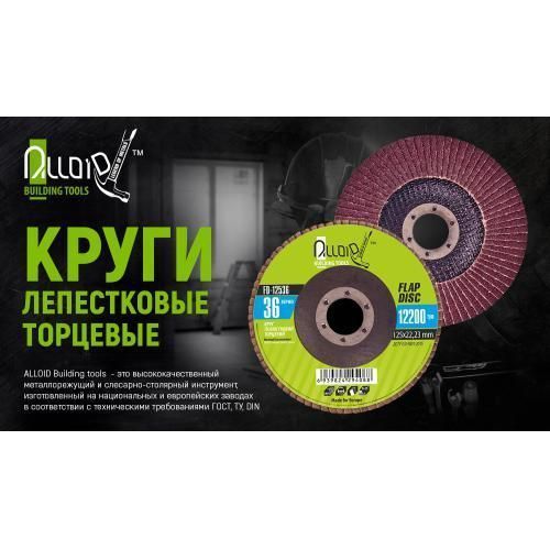 Alloid. Круг пелюстковий торцевий 125 мм, зерно 100 (FD-125100) FD-125100 фото