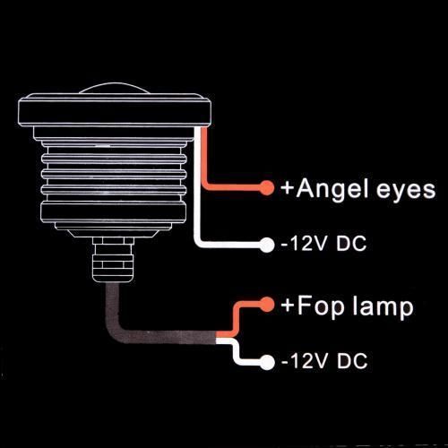 Линзы LED Angel Eves 12V-55W D-64мм white 52569 (AG-2511 W) AG-2511 W фото