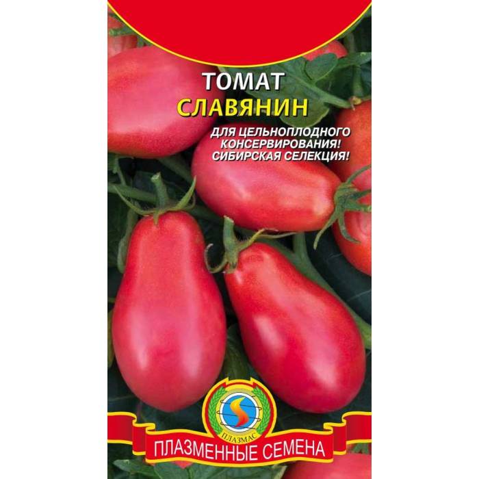 Купить семена: Томат Славянин - цены,фото,отзывы